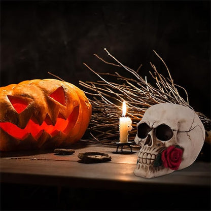 🔥Last Day Sale-💀Skull Statue for Home Decor