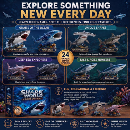 🔥50% Off Today Only-🦈 2026 Shark World Advent Calendar