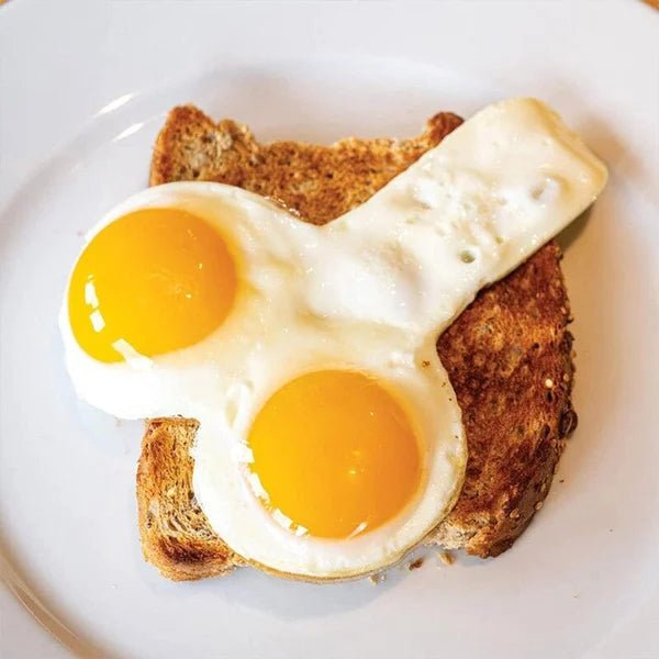 💥HOT SALE💥 Funny Egg Fryer🎁