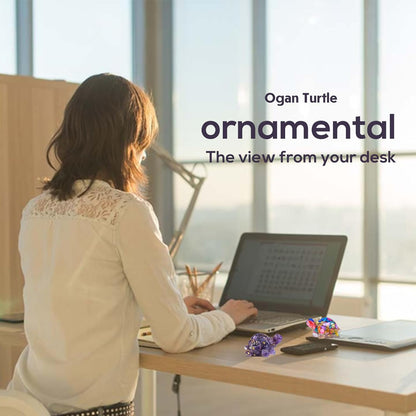Natural Crystal Turtle Figurine – Meaningful Home & Desk Decor