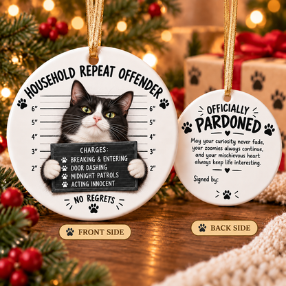 😼 Cat Mugshot Ornament Collection