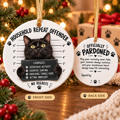 😼 Cat Mugshot Ornament Collection