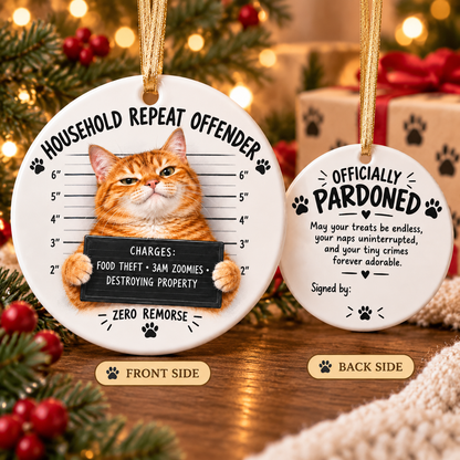 😼 Cat Mugshot Ornament Collection