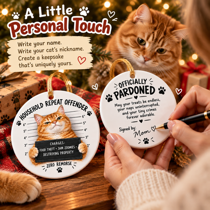 😼 Cat Mugshot Ornament Collection
