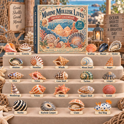 Marine Mollusk Lives Advent Calendar 2026 - 24-Day Festive Countdown, Acrylic Charms Blind Box