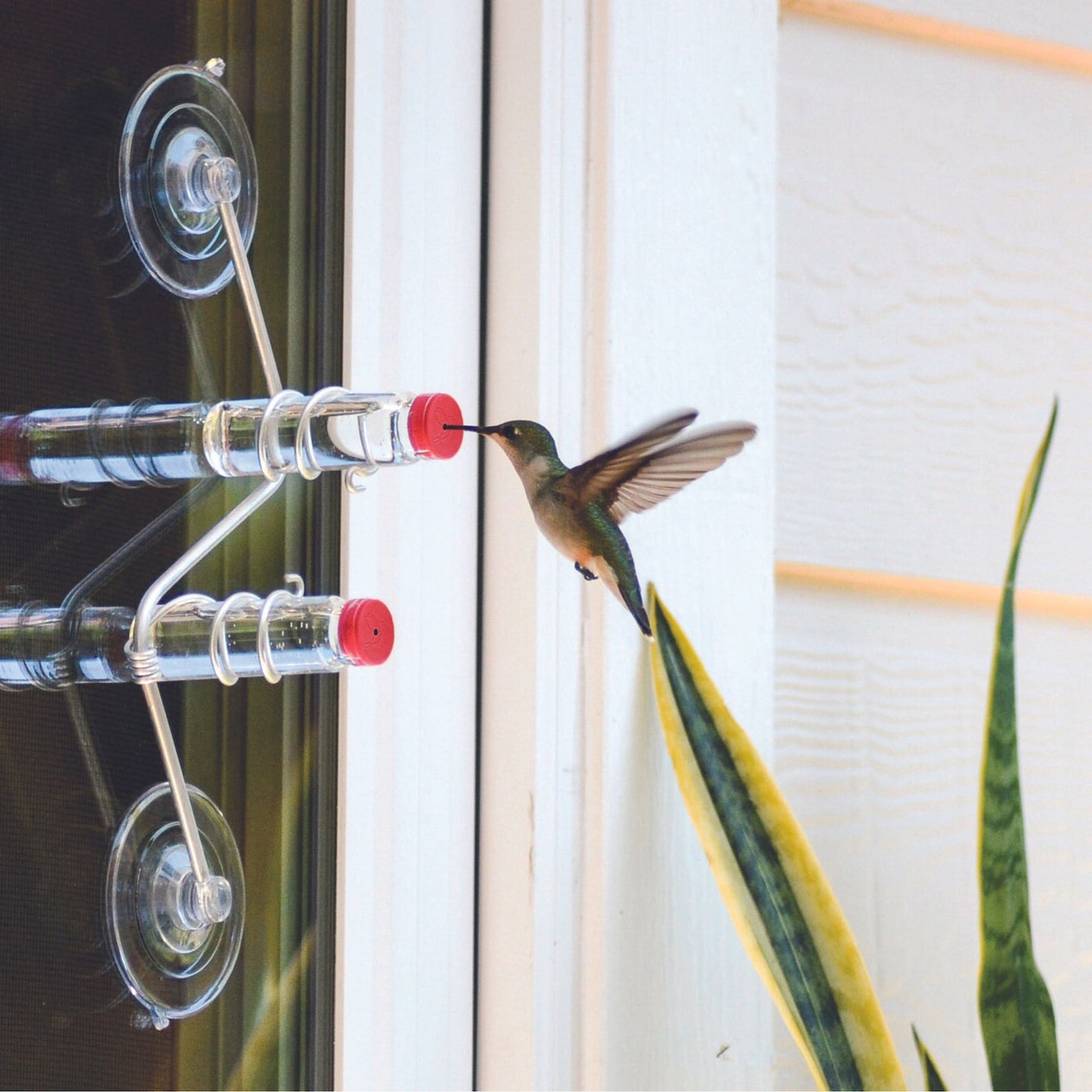🐦The Geo Feeder | Geometric Window Hummingbird Feeder