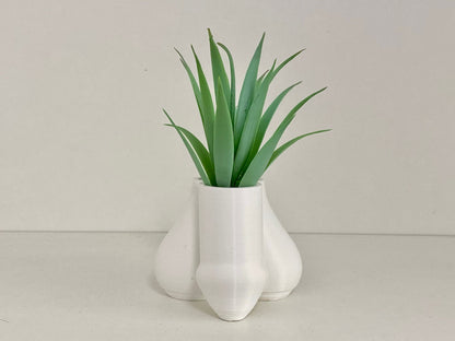 🤣 Funny P*nis Planter Pot - 🔥🔥BUY 2 Free Shipping