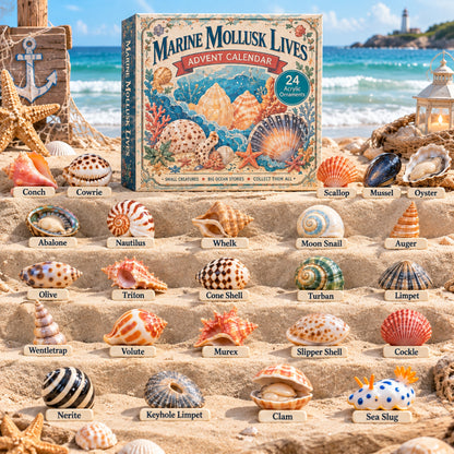 Marine Mollusk Lives Advent Calendar 2026 - 24-Day Festive Countdown, Acrylic Charms Blind Box