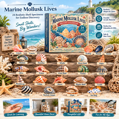 Marine Mollusk Lives Advent Calendar 2026 - 24-Day Festive Countdown, Acrylic Charms Blind Box