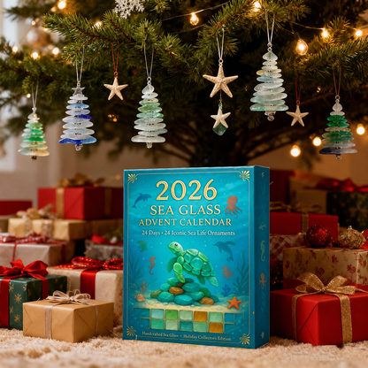 🌊2026 Advent Calendar · Ocean Treasures
